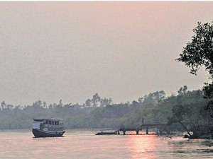 Sunderbans