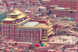 tibet-profile
